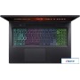 Игровой ноутбук Acer Nitro 17 AN17-41-R9CS NH.QL1EL.003