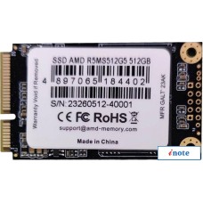SSD AMD Radeon R5 512GB R5MS512G5