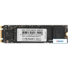 SSD AMD Radeon R5 256GB R5M256G8