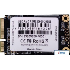 SSD AMD Radeon R5 256GB R5MS256G5